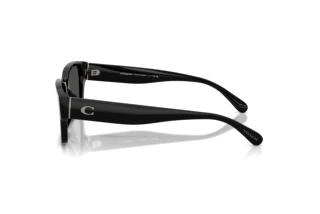 Seitenansicht Coach CBY96 (HC8441U - 500287)