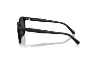 Seitenansicht Coach CCA00 (HC8442U - 500287)