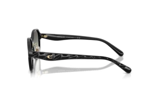 Seitenansicht Coach CBY85 (HC8445D - 500211)