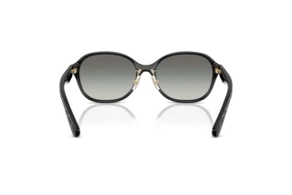 Rückansicht Coach CBY85 (HC8445D - 500211)