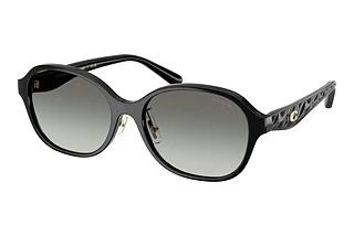Coach HC8445D 500211 Grey GradientBlack