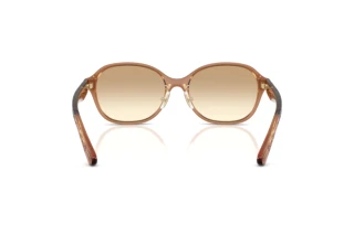 Rückansicht Coach CBY85 (HC8445D - 565413)