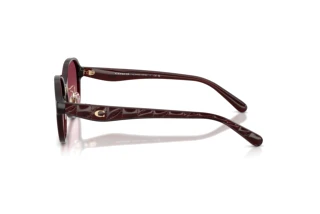 Seitenansicht Coach CBY85 (HC8445D - 59158H)