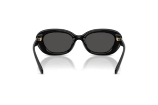 Rückansicht Coach CDP35 (HC8448U - 500287)