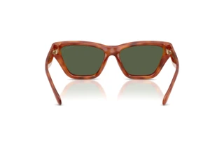 Rückansicht Coach CDP33 (HC8449U - 57749A)