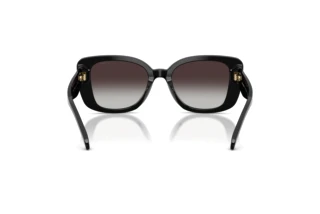 Rückansicht Coach CDP48 (HC8450U - 50028G)