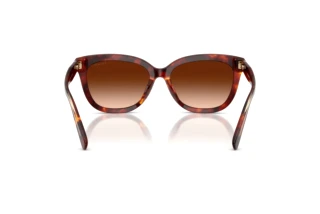 Rückansicht Coach CDP53 (HC8453U - 593874)