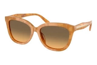 Vorderansicht Coach CDP53 (HC8453U - 593911)