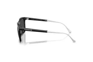 Seitenansicht Coach CDP54 (HC8455 - 500287)