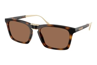 Vorderansicht Coach CDP54 (HC8455 - 512013)