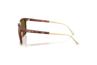 Seitenansicht Coach CDP54 (HC8455 - 5774/2)