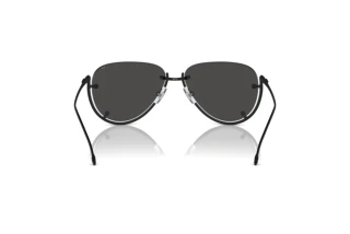 Rückansicht Diesel DL1003 (109/87)