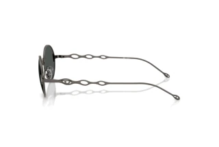 Seitenansicht Diesel DL1008 (100987)