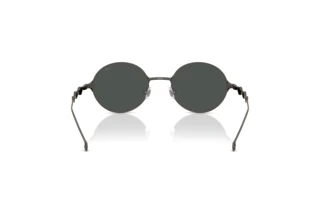 Rückansicht Diesel DL1008 (100987)