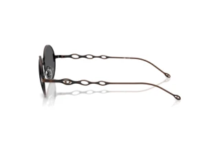 Seitenansicht Diesel DL1008 (102587)