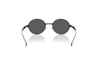 Rückansicht Diesel DL1008 (102587)