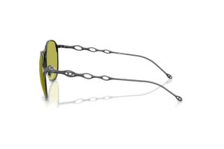 Seitenansicht Diesel DL1009 (1027/2)