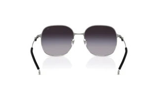 Rückansicht Diesel DL1010D (10038G)