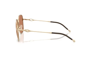 Seitenansicht Diesel DL1010D (101173)