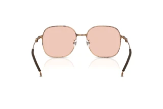 Rückansicht Diesel DL1010D (103084)