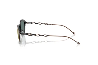 Seitenansicht Diesel DL1011 (10254Z)