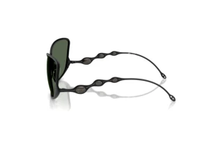 Seitenansicht Diesel DL1013 (101371)