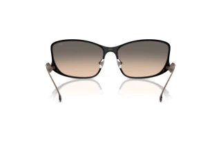 Rückansicht Diesel DL1013 (1023I9)