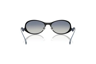 Rückansicht Diesel DL1014 (102414)