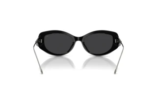 Rückansicht Diesel DL2001MU (701/6G)