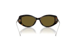 Rückansicht Diesel DL2001MU (711/73)