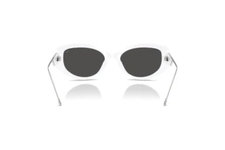 Rückansicht Diesel DL2001MU (712/87)