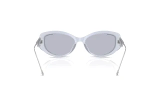 Rückansicht Diesel DL2001MU (722/1)