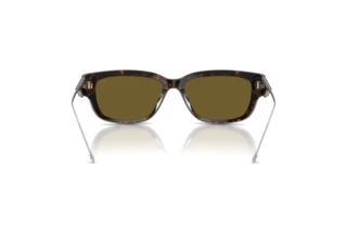 Rückansicht Diesel DL2002MU (713/73)