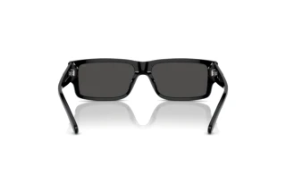 Rückansicht Diesel DL2003 (701/87)