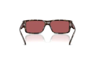 Rückansicht Diesel DL2003 (723/B5)