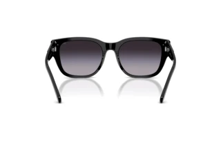 Rückansicht Diesel DL2005 (20018G)