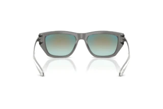 Rückansicht Diesel DL2006 (2027B6)