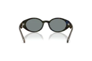 Rückansicht Diesel DL2008U (2042/1)