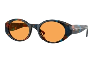 Vorderansicht Diesel DL2008U (2043/7)