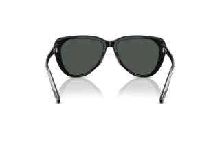 Rückansicht Diesel DL2011U (200187)