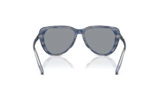 Rückansicht Diesel DL2011U (2037/1)