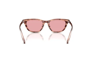 Rückansicht Diesel DL2012U (203684)