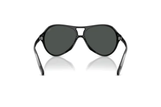 Rückansicht Diesel DL2013U (200187)