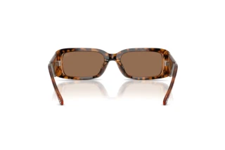 Rückansicht Diesel DL2017U (205073)