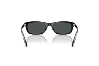 Rückansicht Diesel DL2018U (200187)