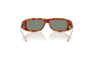 Rückansicht Diesel DL3001 (20236R)