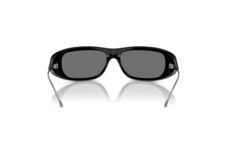 Rückansicht Diesel DL3001 (501/6G)