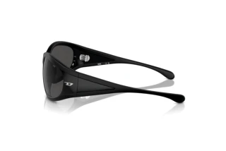 Seitenansicht Diesel DL3002 (501S87)