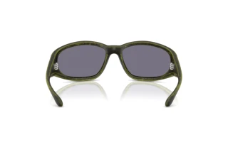 Rückansicht Diesel DL3002 (511/J2)