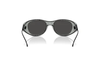 Rückansicht Diesel DL3003 (509/87)